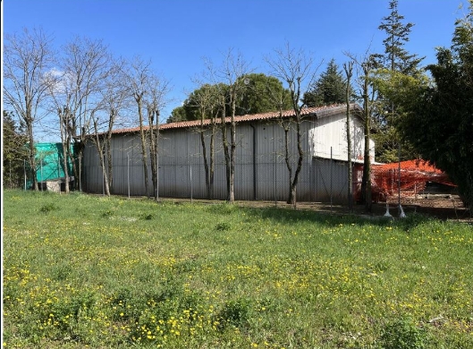 PRESSANA - VERONA - CAPANNONE/MAGAZZINO IN ASTA IN VIA C. BELLINI 15