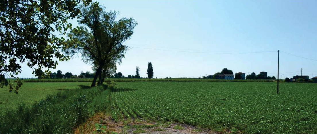 VILLA BARTOLOMEA (VR) FONDO AGRICOLO IN ASTA IN LOC. SAN ZENO IN VALLE - VIA MAROLA