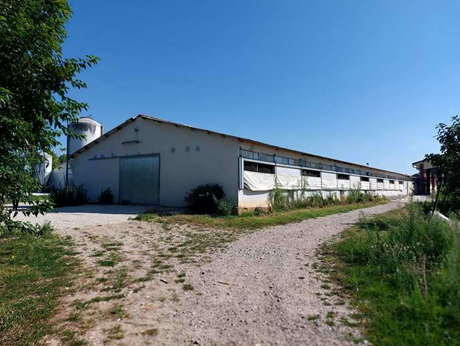 SONA - FRAZ. S. GIORGIO IN SALICI (VR) CAPANNONI IN ASTA IN VIA DELLA GIACOMONA 1
